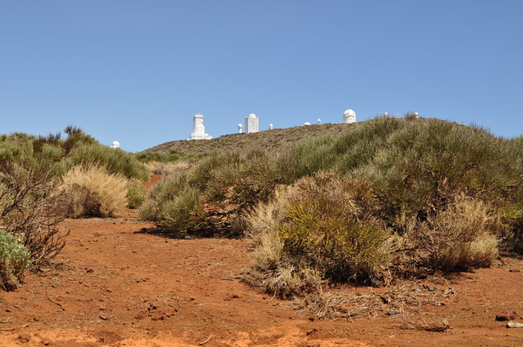 L'observatoire